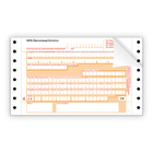SEPA-Überweisung / Zahlschein, 2-fach, endlos, neutral