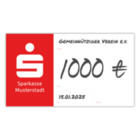 Individueller - SPARKASSEN - PR-Spendenscheck (60x34 cm)